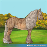 Horse Color:Chocolate Palomino  and Chocolate Palomino Dun 