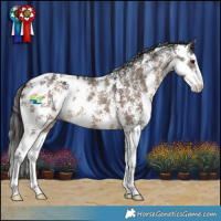 Horse Color:Brown Dun Sabino Blanket 