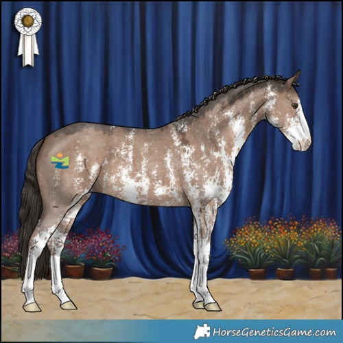 Horse Color:Liver Red Dun Sabino