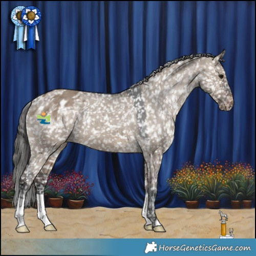 Horse Color:Brown Dun Appaloosa 