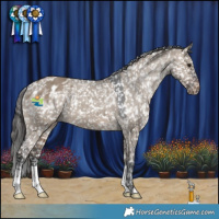 Horse Color:Brown Dun Appaloosa
