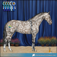 Horse Color:Brown Dun Snowflake Varnish