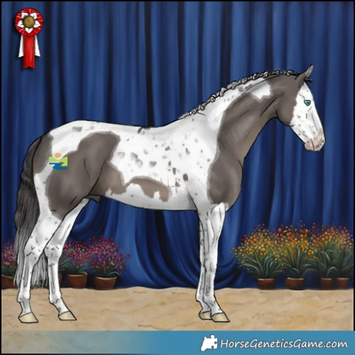 Horse Color:Smoky Grullo Splash Tobiano 