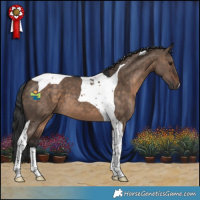 Horse Color:Brown Dun Tobiano 