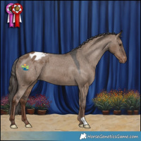 Horse Color:Liver Red Dun Varnish