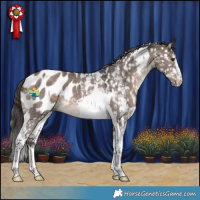 Horse Color:Brown Dun Mushroom Sabino Tobiano Blanket 