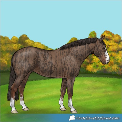 Horse Color:Liver Chestnut  and Liver Red Dun 