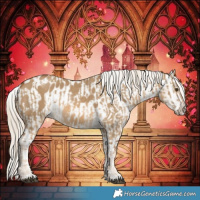 Horse Color:Chocolate Palomino Dun  and Chocolate Palomino Dun Blanket 