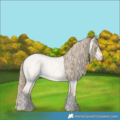 Horse Color:Smoky Creme Roan Dun 