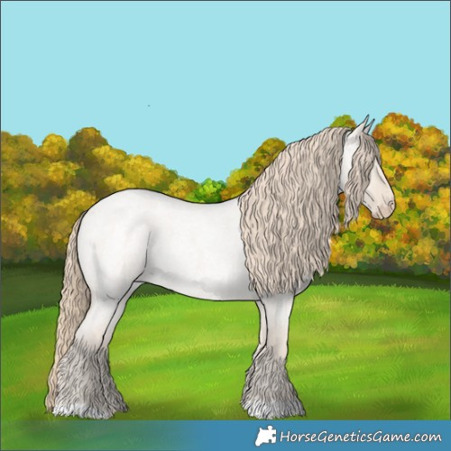 Horse Color:Smoky Creme Roan Dun 