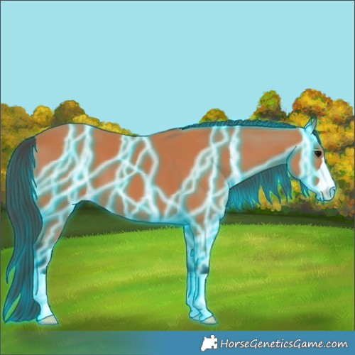 Horse Color:Thunderstruck Bay