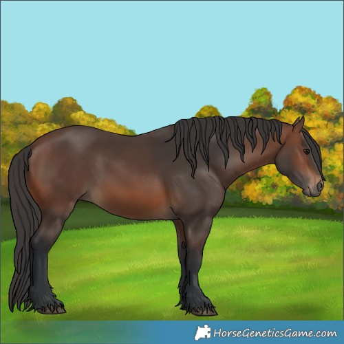 Horse Color:Brown 