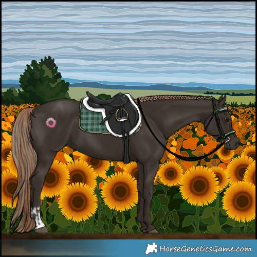 Horse Color:Liver Chestnut  and Liver Chestnut 