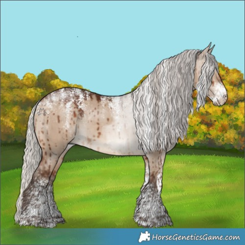Horse Color:Powder White Silver Brown Dun Rabicano Brindle 
