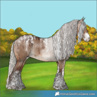 Horse Color:Powder White Silver Brown Dun Rabicano Brindle 