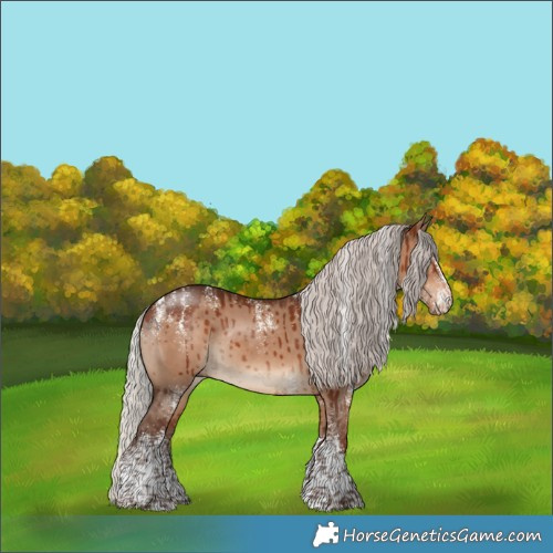 Horse Color:Powder White White Spotted Silver Bay Dun Rabicano Brindle 