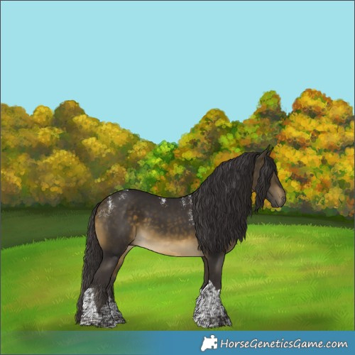 Horse Color:Powder White Buckskin Tobiano 