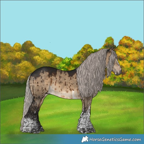 Horse Color:Gray White Spotted Silver Brown Dun Tobiano Brindle 