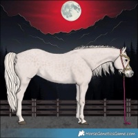 Horse Color:Silver Black 