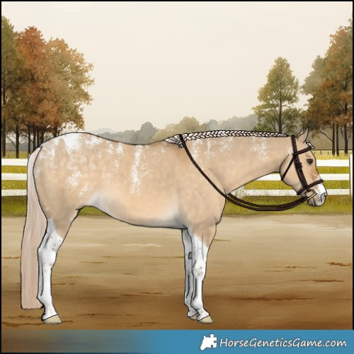 Horse Color:Powder White Chocolate Palomino Dun Tobiano Rabicano 