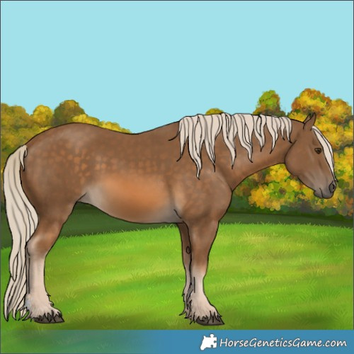 Horse Color:Chocolate Palomino