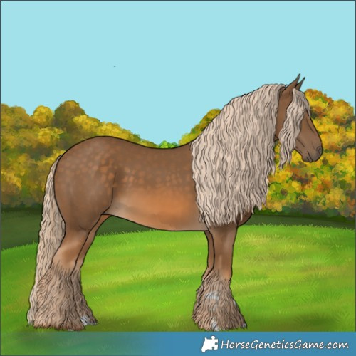 Horse Color:Chocolate Palomino 