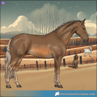 Horse Color:Chocolate Palomino 