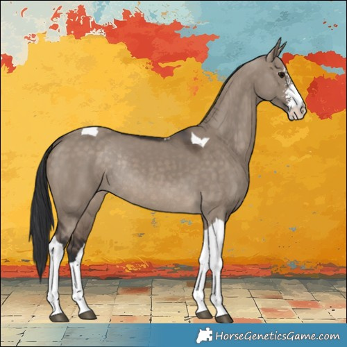 Horse Color:Brown Dun Sabino Tobiano Rabicano 