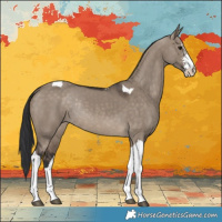 Horse Color:Brown Dun Sabino Tobiano Rabicano 