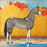 Horse Color:Brown Dun Sabino Tobiano Rabicano 