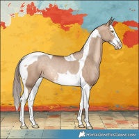 Horse Color:Brown Pearl Dun Splash Tobiano Rabicano 