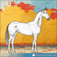 Horse Color:Gray White Spotted Chestnut Splash Tobiano