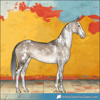 Horse Color:White Spotted Brown Dun Splash Rabicano 
