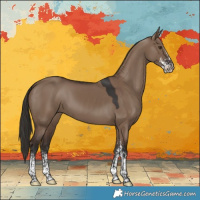 Horse Color:White Spotted Liver Red Dun 