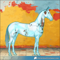 Horse Color:Thunderstruck White Spotted Brown Splash Tobiano 