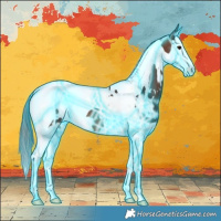 Horse Color:Thunderstruck White Spotted Brown Splash Tobiano