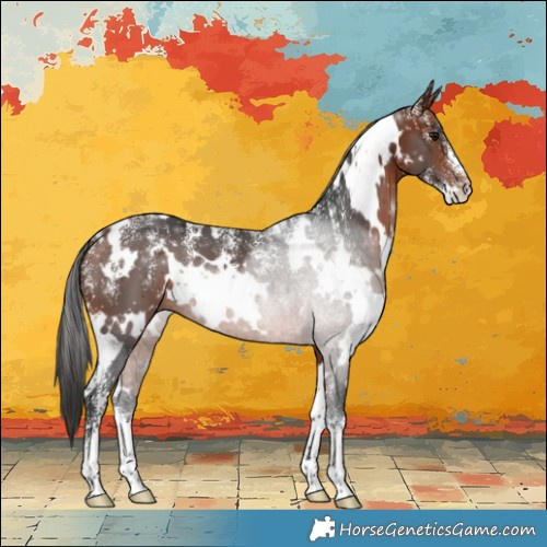 Horse Color:Powder White White Spotted Bay 
