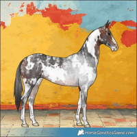 Horse Color:Powder White White Spotted Bay