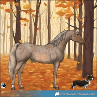 Horse Color:Chocolate Palomino Roan 