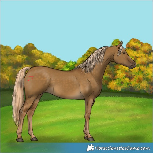Horse Color:Chocolate Palomino Dun 