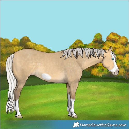 Horse Color:Silver Sable Cream Champagne Dun Splash Frame 
