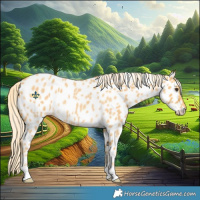 Horse Color:Palomino Roan Near Leopard