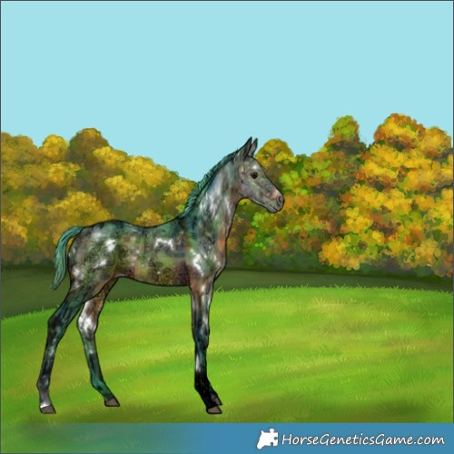 Horse Color:Nacre Watercolor White Spotted Brown Ice Rabicano 