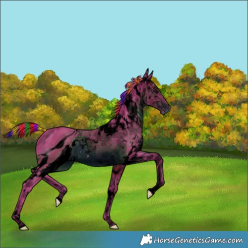 Horse Color:ERROR: UNKNOWN ANOMALY