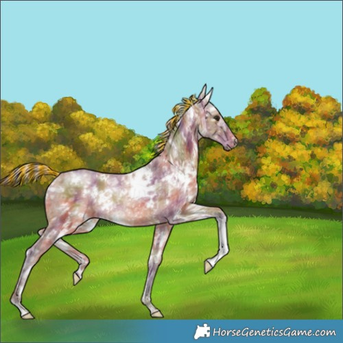 Horse Color:Painted Nacre White Spotted Silver Bay Ice Rabicano 
