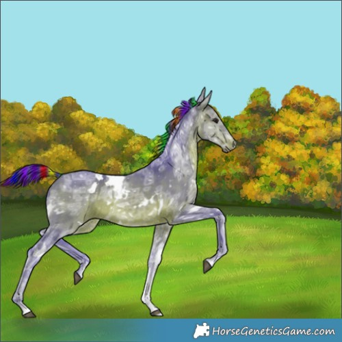 Horse Color:Painted Watercolor White Spotted Bay Ice Rabicano 