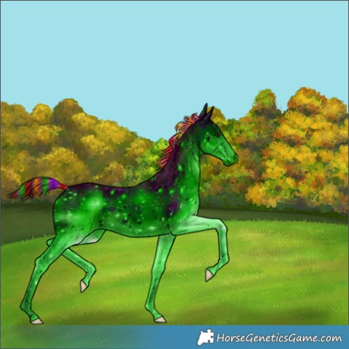 Horse Color:ERROR: UNKNOWN ANOMALY