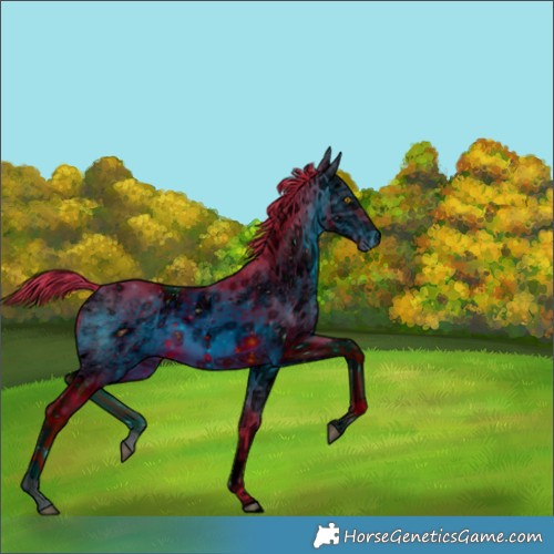 Horse Color:ERROR: UNKNOWN ANOMALY