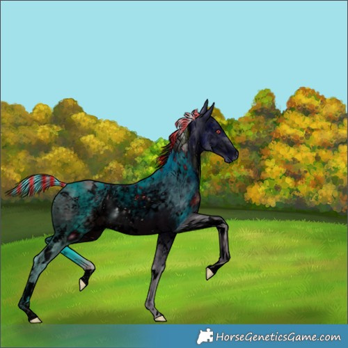 Horse Color:ERROR: UNKNOWN ANOMALY