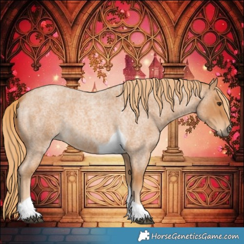 Horse Color:Red Roan Tobiano 